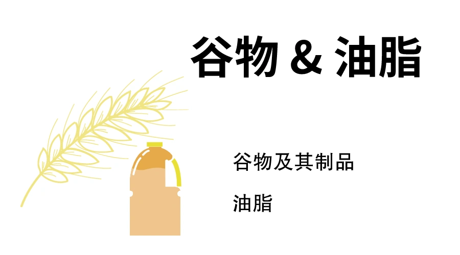谷物 &油脂